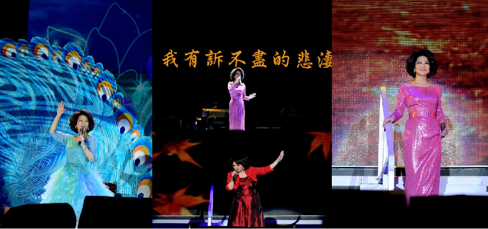 海上良宵2013蔡琴演唱会郑州站